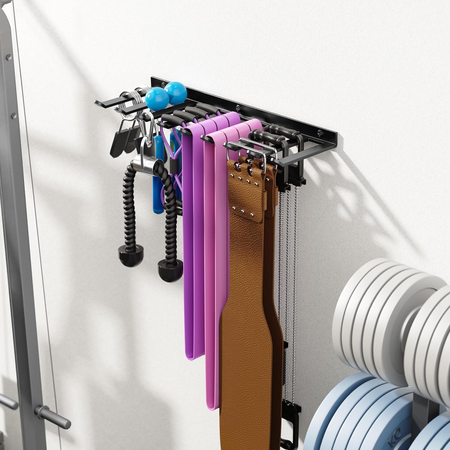 Wall-Mounted Gym Storage Rack